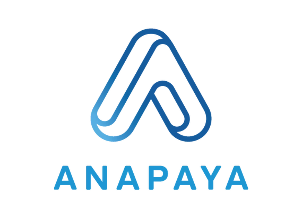 Anapaya logo 1